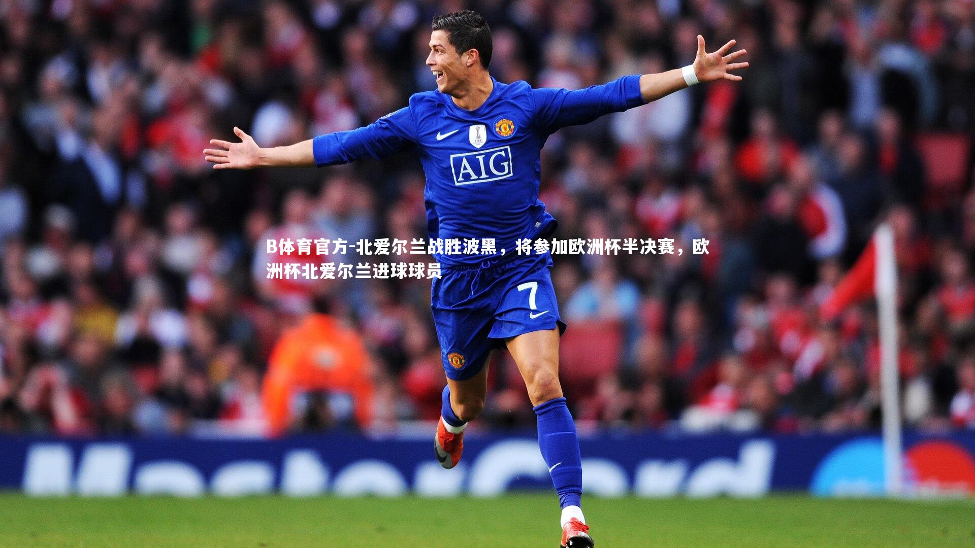 北爱尔兰战胜波黑，将参加欧洲杯半决赛，欧洲杯北爱尔兰进球球员