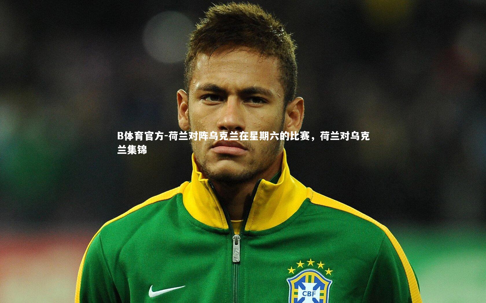 荷兰对阵乌克兰在星期六的比赛，荷兰对乌克兰集锦