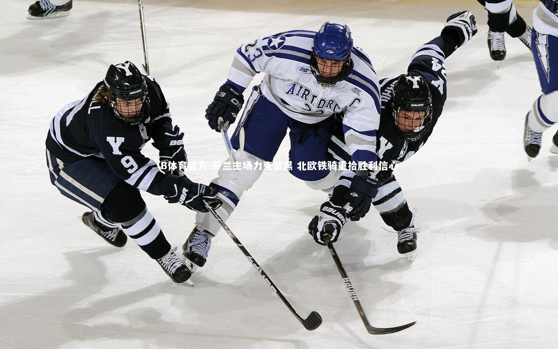 芬兰主场力克波黑 北欧铁骑重拾胜利信心